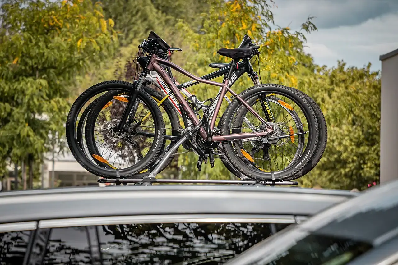Twee mountainbikes vastgezet op een fietsendrager op het dak van een grijze auto, met bomen op de achtergrond