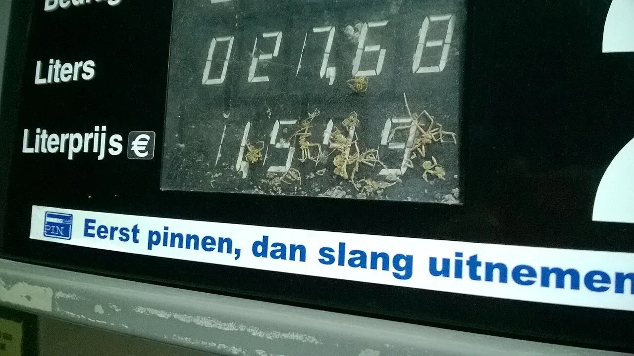 Display van een benzinepomp in Winschoten met een literprijs van 1,549 euro, drie cijfers achter de komma