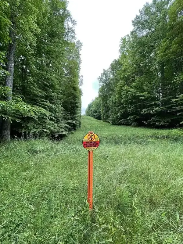 Oranje markeringspaal van de Colonial Pipeline in een groene strook tussen bomen