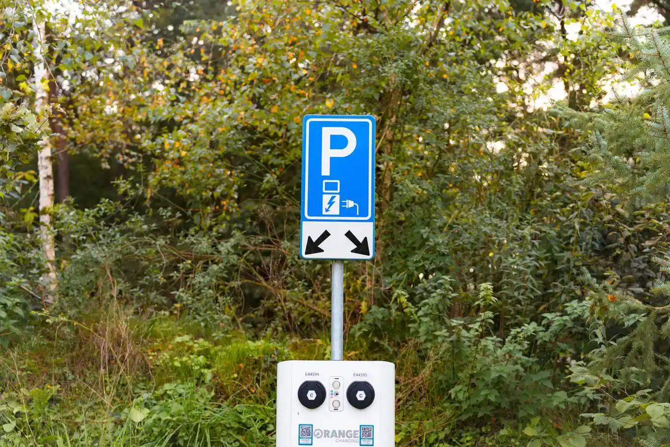 Blauw parkeerbord voor elektrisch laden boven een openbare laadpaal